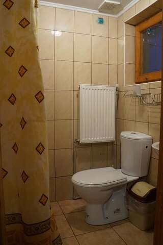Гостевой дом At Starunchakiv family Яремче Двухместный номер Делюкс с 1 кроватью и душем-3