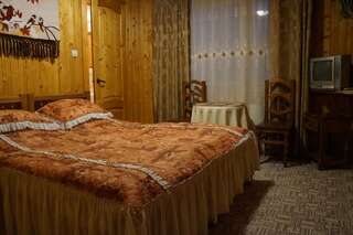 Гостевой дом At Starunchakiv family Яремче Двухместный номер Делюкс с 1 кроватью и душем-5